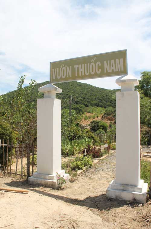 Vườn thuốc nam tại doanh trại đại đội.
