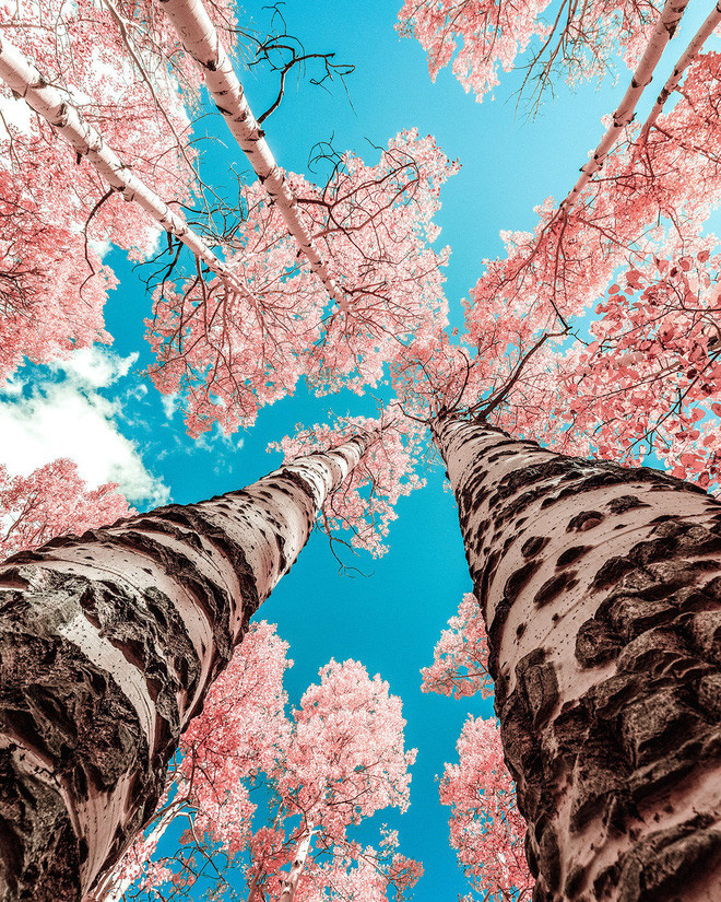 Park City, tiểu bang Utah