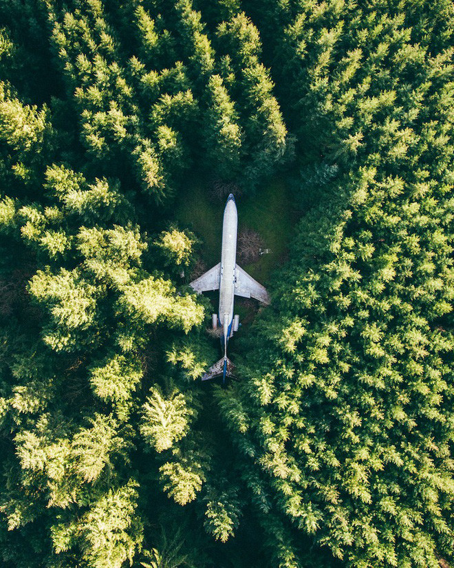 Rừng Hillsboro, Washington