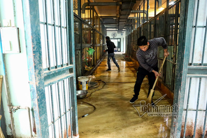 Tại rạp Xiếc Trung ương, các nhân viên hàng ngày tăng cường về sinh chuồng trại khu vực nuôi nhốt các "diễn viên"