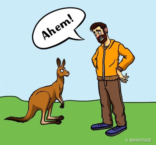 Kangaroo tấn công chỉ khi bạn xâm chiếm lãnh thổ của chúng. Trong trường hợp này, con vật sẽ cảm thấy một mối đe dọa. Để tránh xung đột, hãy ho ngắn và im lặng, đây được coi là dấu hiệu của bệnh tật, và bạn có thể tránh một cuộc tấn công; đi chậm, bạn sẽ trông nhỏ hơn và do đó ít nguy hiểm hơn. Đừng quay lại và đừng chạy. Nếu bạn không làm như vậy, bạn sẽ kích động con vật nhảy xa và tiếp cận bạn trong giây lát.