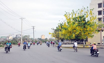 Hoa tô điểm thêm vẻ đẹp của đường phố Sài Gòn trong những ngày hè oi bức đến ngột ngạt.