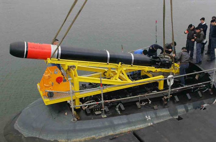 Các tàu ngầm Scorpene chủ yếu sử dụng ngư lôi hạng nặng Black Shark do Italy sản xuất. Nó được trang bị đầu tự dẫn thông minh, tầm bắn đạt tới 50km, tốc độ bơi 50 hải lý/h. Tuy nhiên, chưa có thông tin Ấn Độ sẽ mua loại ngư lôi này cho các tàu ngầm.
