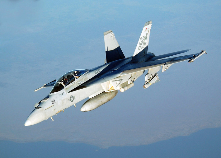 Tiêm kích đa năng F/A-18 cũng có giá cả phải chăng, phù hợp với túi tiền của ta, hơn nữa đã được kiểm chứng qua thực tế chiến đấu, năng lực của nó không có gì phải bàn cãi.Theo thời giá 2013, giá của phiên bản không vũ khí F/A-18 khoảng 61 triệu USD, phiên bản đầy đủ vũ khí là từ 80,7 đến 95,3 triệu USD, chi phí vận hành 11.000-24.400 USD/giờ bay. Giá máy bay FA-18E/F có đắt tiền hơn so với Su-30MK2 của Nga. Vào tháng 8/2013 Việt nam đã mua 12 chiếc SU-30MK2 với giá khoảng 600 triệu USD, tức là vào khoảng 50 triệu USD/chiếc (chưa vũ khí). Nhưng xét về những tính năng và lợi thế mà FA-18E/F có, thì mức giá như vậy hoàn toàn có thể chấp nhận được.