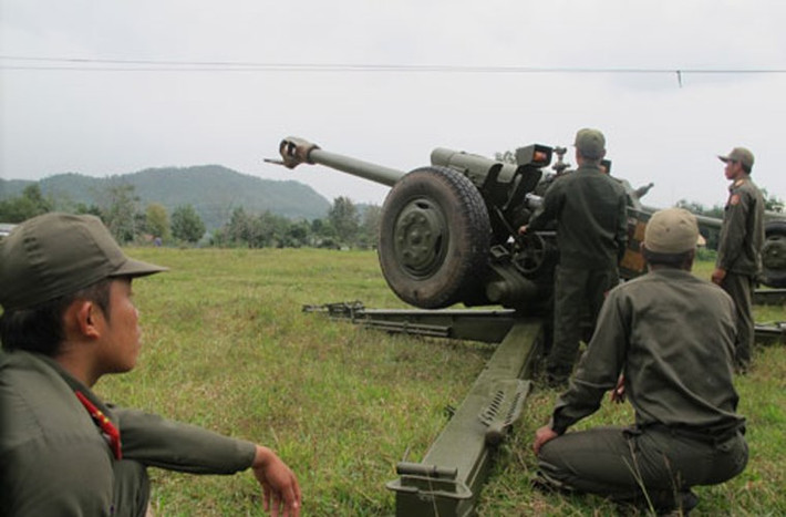 Lực lượng pháo binh Lào có khoảng 140 khẩu pháo các loại do Liên Xô và Mỹ sản xuất gồm: Lựu pháo M30 122mm; pháo dã chiến nòng dài M46 130mm; lựu pháo D30 122mm; lựu pháo M114 155mm và M101 105mm.