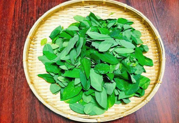 Cách chọn rau ngót ngon: Rau ngon là rau có màu xanh lá mạ, rau màu xanh đậm là rau già. Rau có lá xoăn, dày, hoặc quá non không nên mua bởi có thể là rau già hoặc bị phun thuốc trừ sâu.