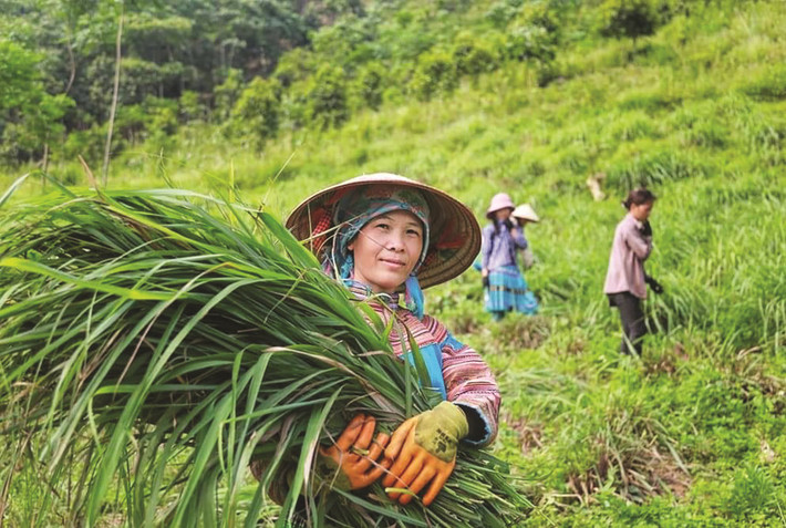 Bảo Yên: Hành trình lên Tây Bắc ngược chiều con sông Chảy bốn mùa nước trong xanh, theo quốc lộ 70, qua đất Lục Yên, khi thấy xuất hiện hai bên ven đường những vườn cam sành trĩu quả, những địu măng tươi hay gùi khoai sọ tím dẻo đấy là tới đất Bảo Yên của tỉnh Lào Cai. Bảo Yên nổi tiếng với quê hương trận Phố Ràng lịch sử, cửa ngõ phía Đông Nam mở vào vùng đất thấm đẫm văn hoá đặc sắc 27 dân tộc Lào Cai.