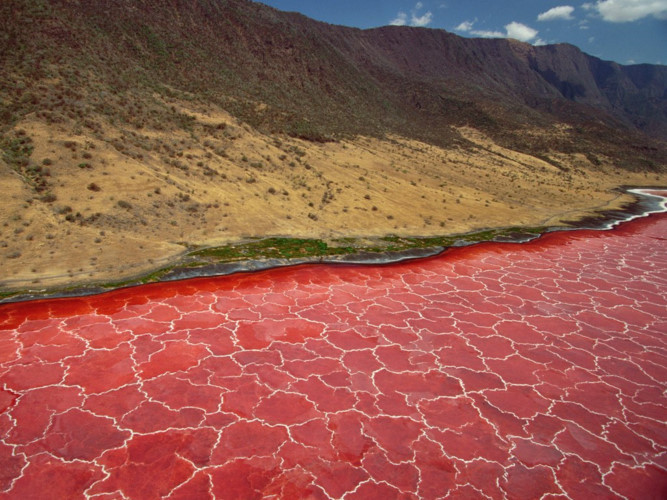 8. Hồ Natron, Monduli, Tanzania. Hồ nước mặn này rất đẹp, nhưng nhiệt độ 120 độ và độ pH thấp khiến nó trở thành một điểm nghỉ mát ít lý tưởng.
