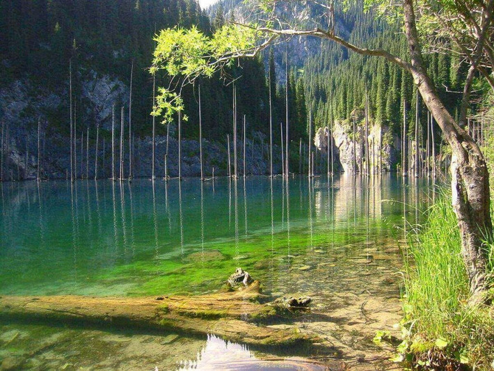 7. Rừng dưới nước ở hồ Kaindy, Kazakhstan Hồ Kaindy dài 400 mét ở Kazakhstan, dưới chân dãy núi Tian Shan, nằm cách thành phố Almaty 129 km. Hồ được tạo ra như là kết quả của một vụ lở đá vôi khổng lồ sau trận động đất Kebin. Vẫn chưa lý giải được vì sao, nhiều cây rừng mọc tràn ngập và sinh sôi nảy nở tốt trong lòng hồ này.