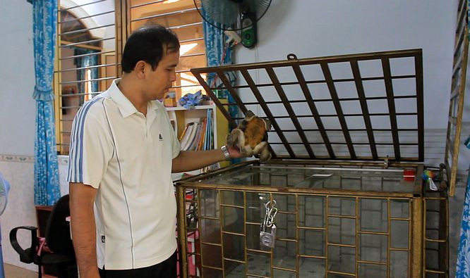 Rùa được nuôi trong lồng kính. Nhiều người đến tham quan và ngỏ ý muốn mua gần tỷ bạc nhưng anh Võ Minh Tuấn đã từ chối.