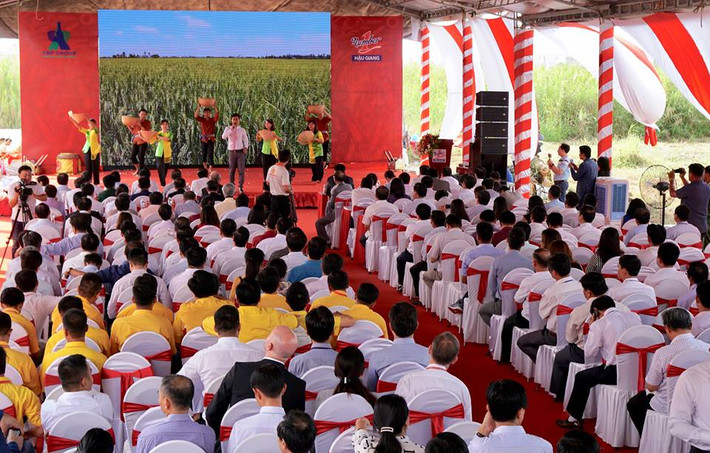 Khách mời tham dự sự kiện Khánh thành nhà máy Number One Hậu Giang.