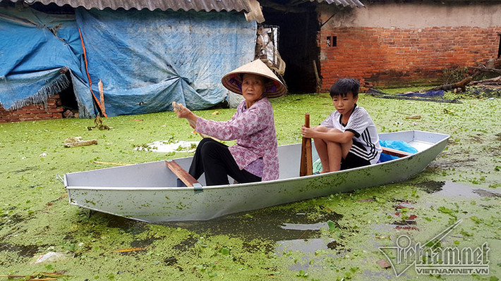 Nước lũ kéo theo bèo, rác thải ảnh hưởng đến môi trường sống của người dân