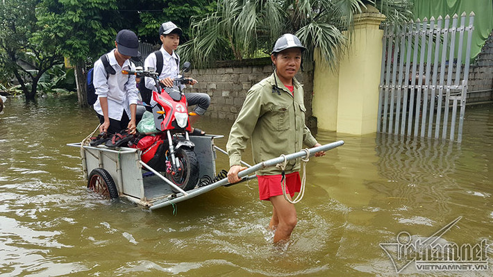 Ông Nguyễn Văn Thuận (40 tuổi, Nam Hải) ngày 2 lượt cùng vợ kéo xe đưa 2 con trai học lớp 10 vượt lũ tới trường. Ông cho biết: "Lợn gà, thóc, lúa mất hết rồi, giờ không thể để 2 con mất cái học, phải đưa đi học cho bằng bạn bè, theo kịp chương trình"
