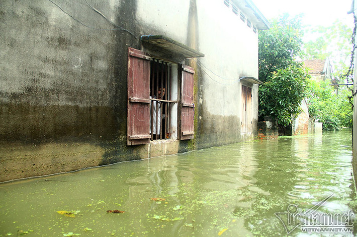 Nhiều nhà bị ngập gần tới nóc, nhà ở vị trí cao hơn thì cũng ngập tới hiên nhà nhưng vẫn nội bất xuất ngoại bất nhập