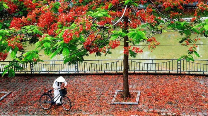 Cuộc đời ông đã trải qua nhiều thăng trầm. Ban đầu ông làm nghề khuân vác trên bến cảng Hải Phòng, sau đó chuyển sang làm công nhân đóng tàu. Có thời gian dài ông làm nghề áp tải. Thời kỳ bài thơ "Thời hoa đỏ" được phổ nhạc, ông bán sách trên vỉa hè sau khi thôi làm công nhân đóng tàu.