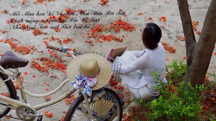 Còn về màu hoa đỏ, nhà thơ Thanh Tùng lý giải, màu đỏ là màu tượng trưng. Thời hoa đỏ là thời của đắm say. Ai cũng có một thời như thế, thời con người sống đầy khát vọng, thời yêu đương đắm đuối, yêu cả cái không đáng yêu…