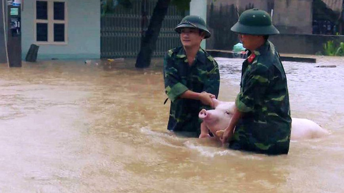 Bộ đội huyện Bá Thước (Thanh Hoá) giúp dân sơ tán tài sản vật dụng. Nguồn ảnh: Vietnamnet