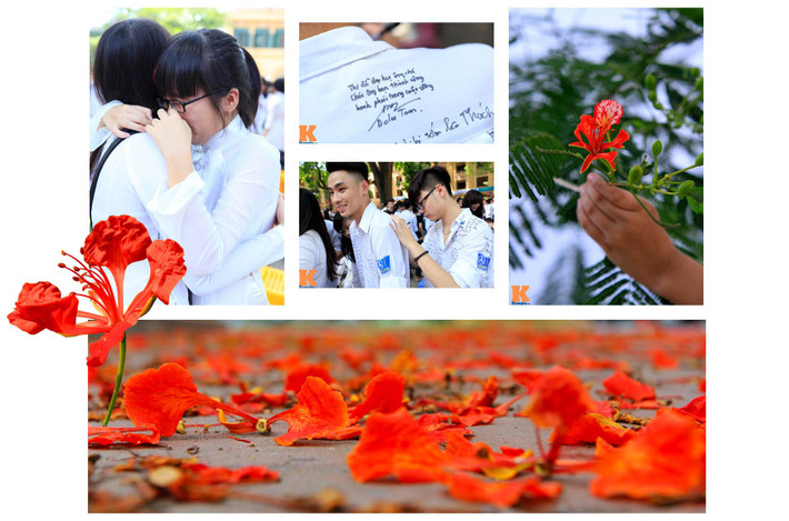 Khổ cuối cùng là thời điểm sau ngày 30/4/1975, đất nước thống nhất, ông trở lại giảng đường đại học. Trong khoảnh khắc đứng lặng lẽ trên sân trường, ông đã viết: “Em đã yêu anh, anh đã xa rồi/ Cây bàng hẹn hò chìa tay vẫy mãi/ Anh nhớ quá, mà chỉ lo ngoảnh lại/ Không thấy trên sân trường chiếc lá buổi đầu tiên”.