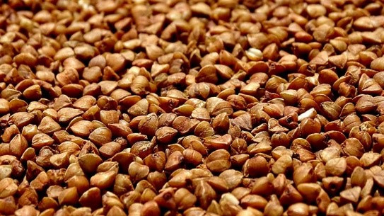 Kiều mạch: Ngũ cốc nguyên hạt là một phần quan trọng trong chế độ ăn uống lành mạnh, nhưng chúng có hàm lượng Photpho cao, không thích hợp cho những người bệnh thận. Kiều mạch là một thay thế tuyệt vời. Nó cung cấp dinh dưỡng dưới dạng magie, sắt, chất xơ và vitamin B. Kiều mạch không chứa Gluten, chứa rất ít Photpho và những loại chất cần tránh cho người mắc bệnh thận. Trong ½ cốc (84gram) kiều mạch đã nấu chín chỉ chứa 3,5 mg Natri, 74 mg Kali và 59 mg Photpho mà thôi.