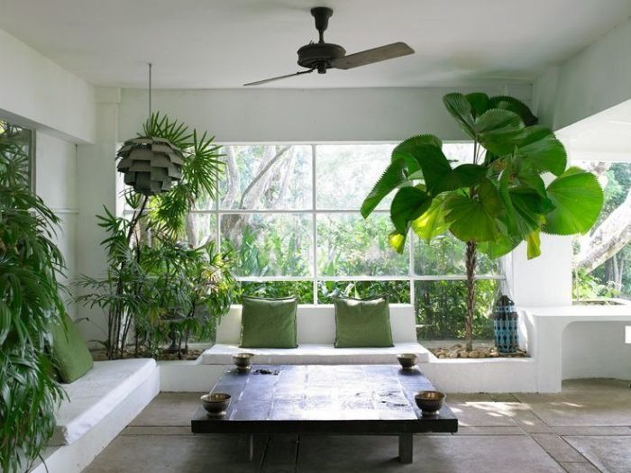 Trồng cây xanh: Không những chống nắng cho nhà, cây xanh còn có công dụng trang trí. Những ngôi nhà nhỏ, nhà chung cư có thể trồng cây dạng thân leo ở tường, ban công, lan can, cửa sổ để che nắng. Ngoài ra, bạn có thể trí các chậu/lọ cây nhỏ trong nhà.