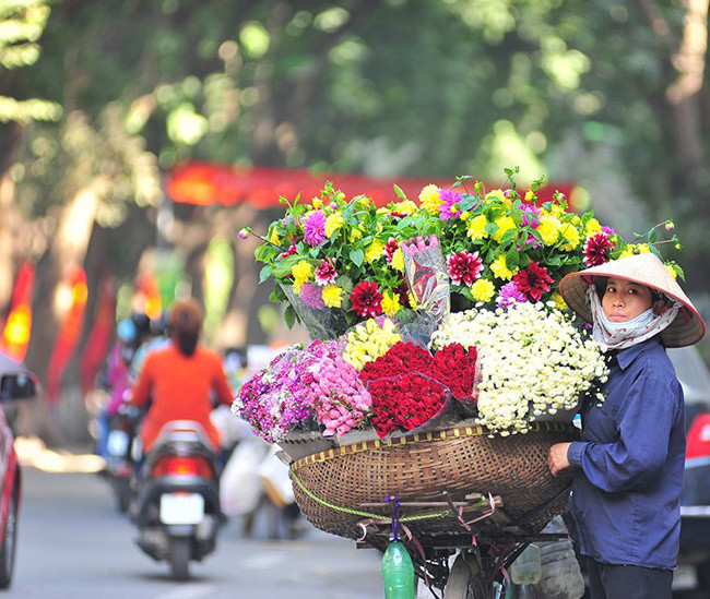 Với hoa thược dược có hai loại, hoa cắm lọ và hoa trồng trong chậu. Với hoa cắm lọ, khi mua phải kiểm tra lá, cuống, hoa xem hoa có tươi không; hoa tươi là hoa lá còn xanh, cuống không nhớt, không có mùi hôi.