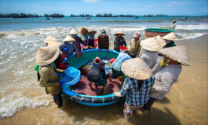 Tới chợ cá cảng Mũi Né, bạn sẽ ngỡ ngàng trước sự tấp nập của nơi đây. Hàng trăm ngư dân đón những chuyến tàu đầy ắp cá tôm từ biển khơi trở về. Ảnh: Đông Giang.