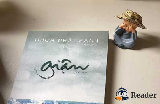 Cuốn sách "Giận" của thiền sư Thích Nhất Hạnh không mang những triết lí quá là cao siêu, ngược lại những ví dụ mà ông đưa ra gần gũi, thực tế và dễ dàng bắt gặp trong cuộc sống.