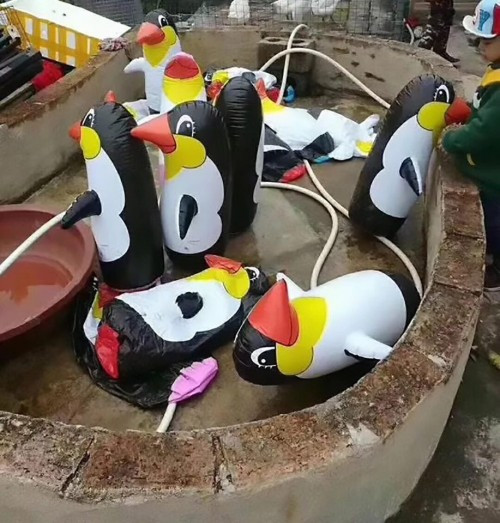 Du khách mới đây đổ xô tới một sở thú ở thị trấn Ngọc Lâm, Quảng Tây, Trung Quốc để xem những chú chim cánh cụt được mang về từ Nam Cực. Tuy nhiên, khi tới nơi ai ai cũng đều tức giận vì sở thú này đã “treo đầu dê bán thịt chó”. Không thấy chim cánh cụt từ Nam Cực đâu, tới nơi họ chỉ thấy những chú chim cách cụt bơm hơi để thay thế.