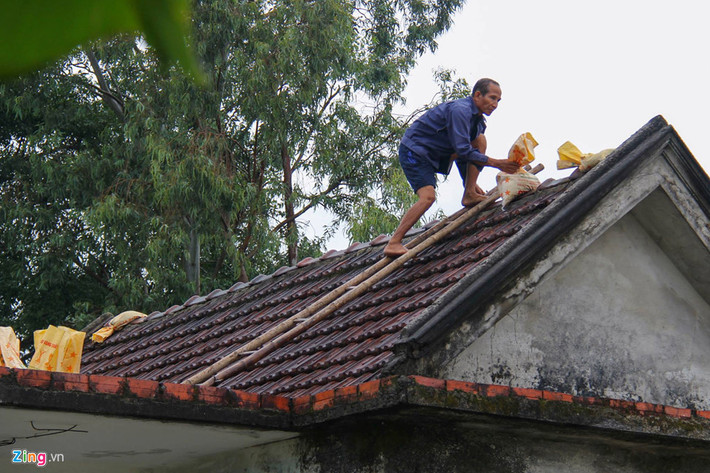 Sáng 14/9, người dân Hà Tĩnh đang tất bật với những phương án chằng chống cơn bão số 10 được xem là mạnh nhất trong nhiều năm. Ảnh: Phạm Trường.