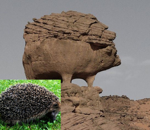 Một con nhím khổng lồ bằng đá tại Tassili N'ajjer, Algeria.