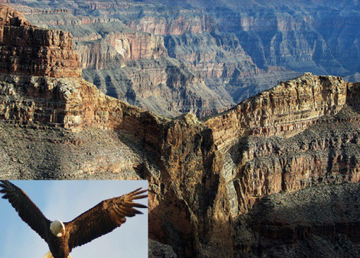 Một dãy núi trong Công viên quốc gia Grand Canyon, Arizona (Mỹ) có hình dáng hùng vĩ y hệt như một con đại bàng – biểu tượng của nước Mỹ. Khối đá tự nhiên này tự khoác lên mình dung mạo sống động của một loài động vật.