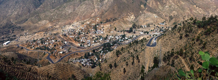 Giống như phần lớn các quốc gia Phi Châu khác, nền kinh tế Eritrea chủ yếu dựa vào hoạt động sản xuất nông nghiệp với 80% dân số làm việc trong ngành trồng trọt và chăn nuôi.