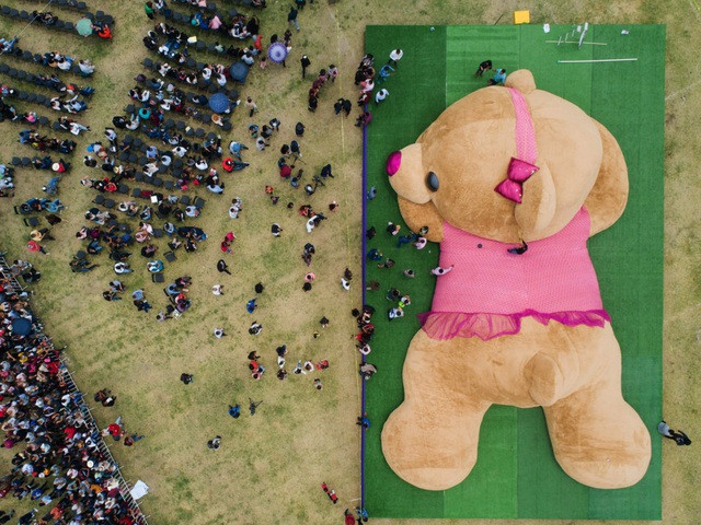 Cchú gấu teddy lớn nhất thế giới, dài hơn 19m, nặng hơn 3.600 kg. Vào ngày 28/4, chú gấu teddy lớn nhất thế giới đã được thực hiện tại Xonacatlán, Mexico nhân ngày dành cho thiếu nhi ở đất nước này.
