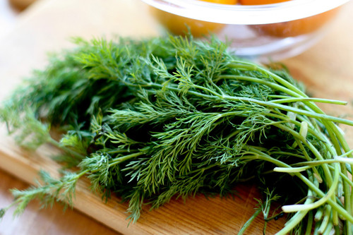 Trong khi đó, thì là phát huy tác dụng giảm ợ hơi bằng cách “làm dịu” đường tiêu hóa, ngăn chặn hình thành khí. Tuy nhiên, để có được tác dụng này bạn nên nhai khoảng nửa thìa thì là ngay sau bữa ăn.