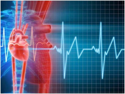 Nhịp tim nhanh. Tim đập nhanh và mạnh là một trong những dấu hiệu nguy hiểm khi bạn không uống đủ nước. Hãy đảm bảo uống đủ 8 ly nước mỗi ngày (tương đương 2 - 3 lít nước) để cơ thể trơn tru hơn cho các hoạt động điều tiết và vận động.