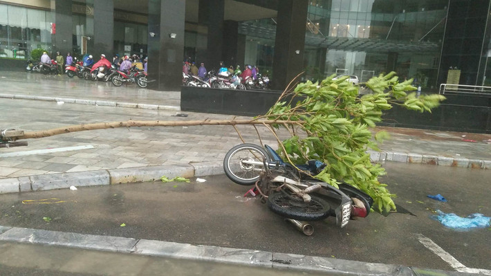 Gió giật mạnh thổi ngược khiến người tham gia giao thông phải vứt lại phương tiện ngoài đường tìm chỗ trú mưa trên đường Mễ Trì.