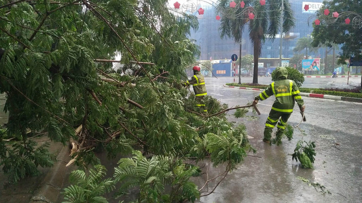 Nhân viên công ty cây xanh túc trực trong mưa bão để xử lý các cây bị đổ trên phố Hàm Nghi, Mỹ Đình.