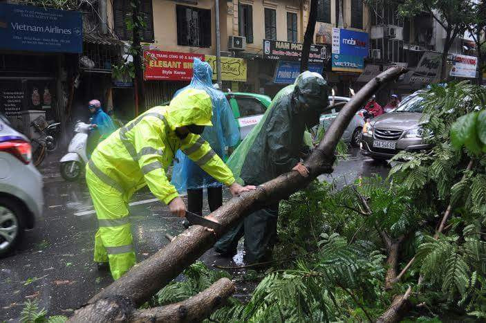 Hiện nay, trên địa bàn TP có 2 cột điện đổ trên phố Hai Bà Trưng và 19 nút đèn không hoạt động được. Khuyến cáo, đoạn Ngọc Hồi, Phan Trọng Tuệ có 3 cây xanh đè vào đường sắt cần được giải phóng ngay. Trật tự an toàn giao thông của Thủ đô ảnh hưởng rất lớn của bão số 1. Các lực lượng triển khai tối đa để đảm bảo cho người dân an toàn.