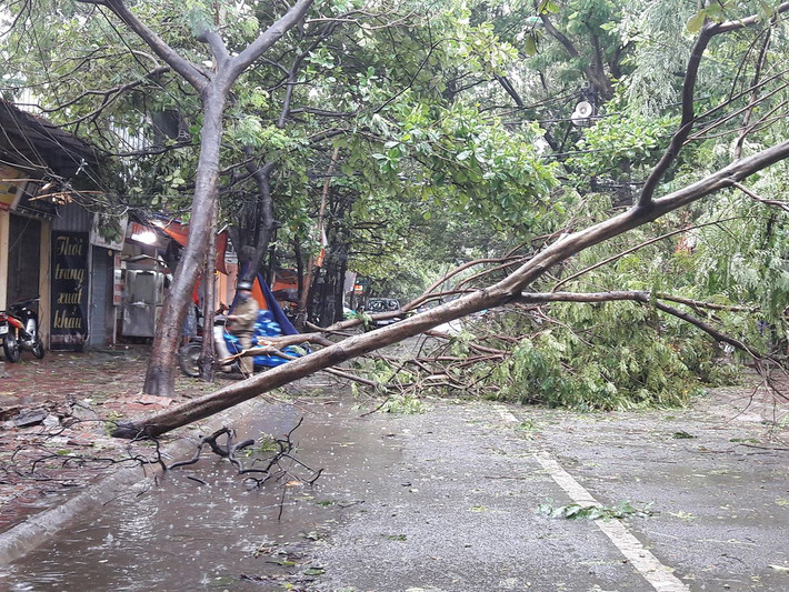 Việc đi lại hiện tại là vô cùng khó khăn.