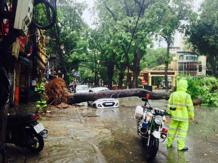 Gió bão khiến cây to bật gốc đè bẹp một chiếc ô tô con. Ảnh: Anh Tuấn