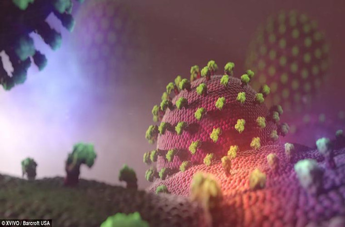 Còn đây là hình ảnh phóng đại của một con virus bên trong cơ thể người. Trong ngành sinh học tế bào, mưng mủ là hiện tượng sưng lên của màng plasma trong tế bào. Hiện tượng này thường xảy ra khi có 1 tế bào chết.