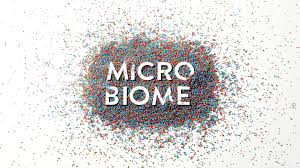 Microbiome - hiểu biết và ứng dụng microbiome. Các hóa chất do microbiome bài tiết để can thiệp và tiêu hóa thức ăn đã được nghiên cứu dùng cho mục đích chữa bệnh, thậm chí còn được dùng cho nghiên cứu, khám phá ra cơ chế gây bệnh và phát triển của bệnh tật. Năm 2018 được xem là năm của microbiome với những sản phẩm đầy hứa hẹn nhằm mang lại cuộc sống tốt hơn cho con người.
