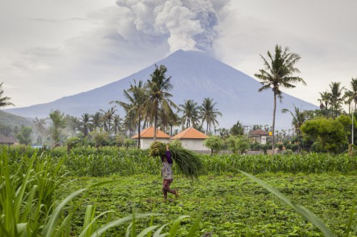 Bức hình ghi lại sự kiện phun trào núi lửa Agung tại Bali vào tháng 11 cũng thu hút sự quan tâm của độc giả. Các chuyên gia cảnh báo, núi lửa Agung phát ra lượng lớn hợp chất lưu huỳnh sẽ khiến nhiệt độ toàn cầu giảm. Ảnh: Andri Tambunan/Getty Images