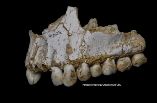 8. Người cổ đại 40.000 năm trước đã biết dùng kháng sinh! Kết quả phân tích DNA từ 5 bộ xương người Neanderthal ở Úc cho thấy họ có kiến thức về y khoa nhất định và đã biết dùng một loại nấm mốc để làm kháng sinh để trị nhiễm trùng răng. Đây là tộc người cổ đã tuyệt chủng ít nhất 40.000 năm trước.