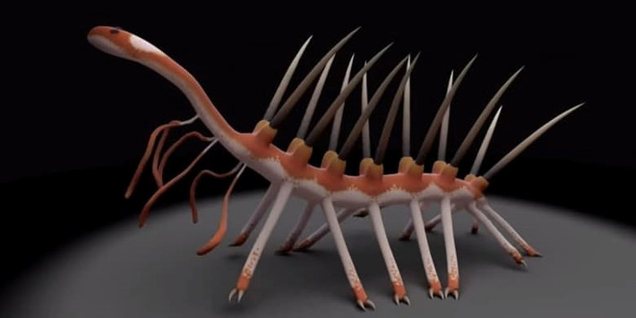 Hallucigenia. Đây là một sinh vật biển khá khó để đặt tên, nó dường như chỉ có thể tồn tại trong một bộ phim kinh dị khoa học viễn tưởng.