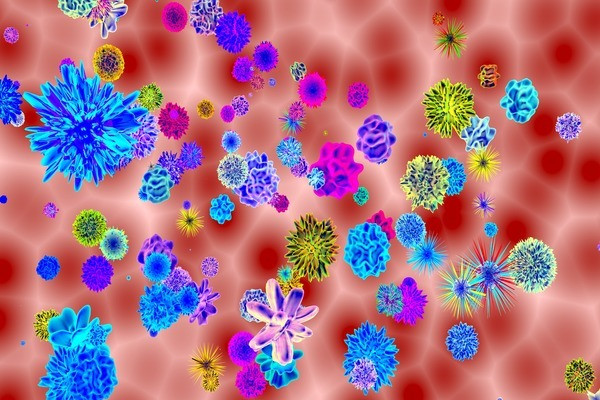 2. Tỏi chống virus Các loại virut, vi khuẩn và ký sinh trùng đều sợ tỏi! Tỏi có thể giúp bạn chống lại hoặc giảm 63% khả năng mắc cảm lạnh. Ăn tỏi cũng rút ngắn thời gian bị cảm từ bảy ngày xuống còn một ngày rưỡi.