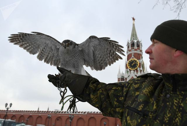 Sau này, lính gác bảo vệ Điện Kremlin sử dụng băng thu âm tiếng rít và gào của chim ưng để đuổi quạ. Tuy nhiên, quạ nhanh chóng “quen tai” nên buộc phải sử dụng chim thật. Vì vậy, biệt đội chim tinh nhuệ ra đời.