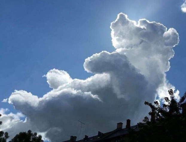 Gấu Pooh