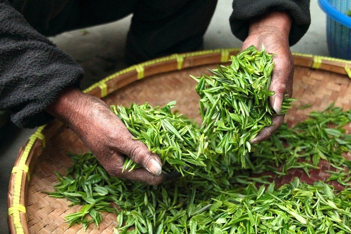 3. Trà xanh Ngoài nước lọc, uống trà xanh là một cách tuyệt vời để giữ nước. Nó giữ cho làn da khỏe mạnh vì có chất chống oxy hóa, vitamin B3 và một hóa chất khác gọi là epigallocatechin-3-gallate (EGCG).