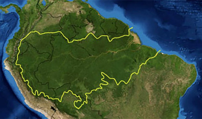 Sông Amazon đổ ra biển một lượng cực lớn nước ngọt mỗi ngày, khiến cho gần 160km ngoài khơi bờ biển trong khu vực có nồng độ mặn thấp hơn bình thường.